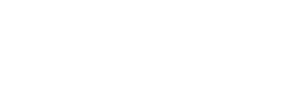 Newport Apartment Homes logo
